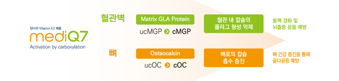 당사의 Vitamin K2 제품 mediQ7 Activation by Carboxylation