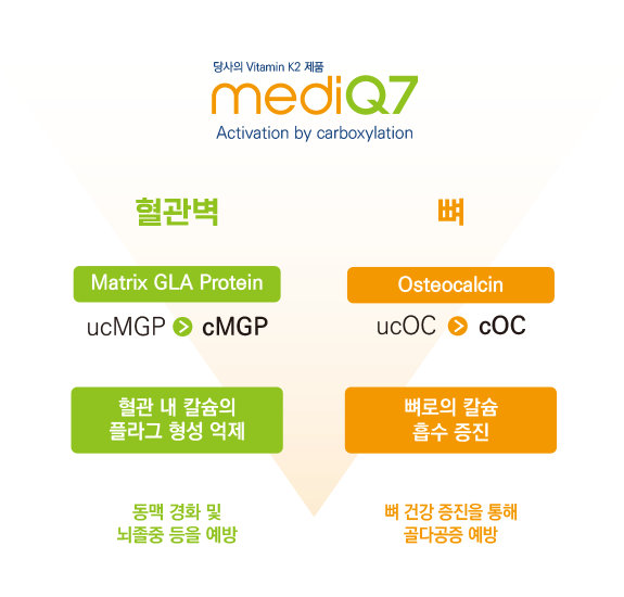 당사의 Vitamin K2 제품 mediQ7 Activation by Carboxylation