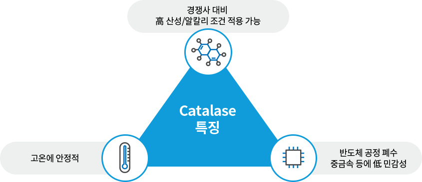 Catalase 특징