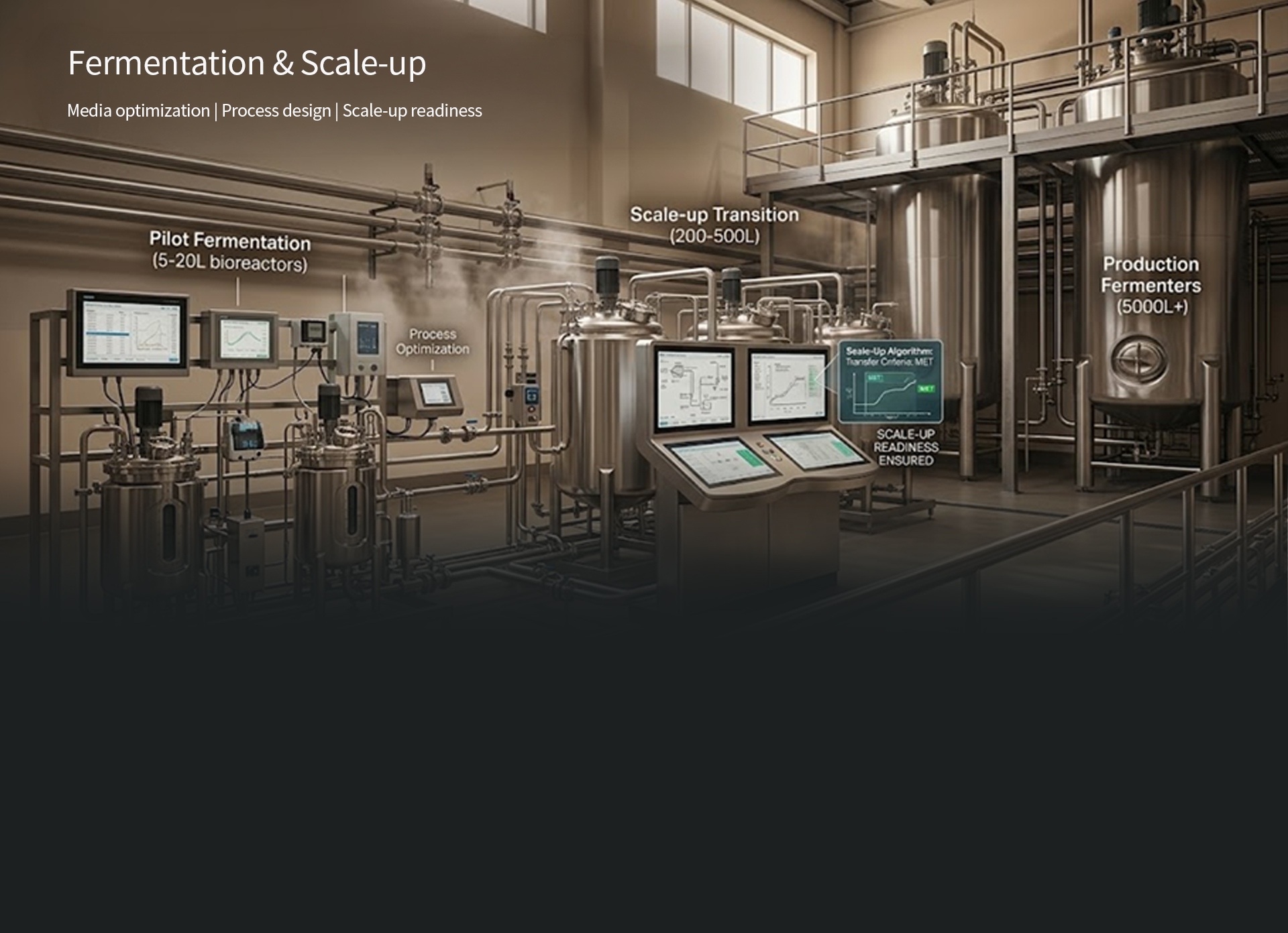 Fermentation & Scale-up — Media optimization, process design, scale-up readiness