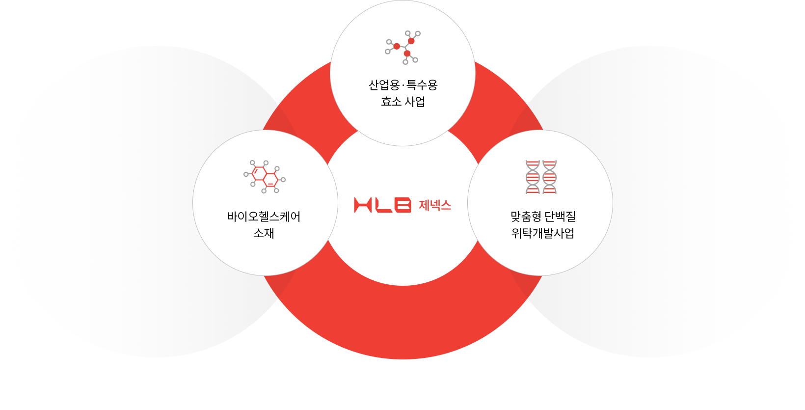 Company Overview